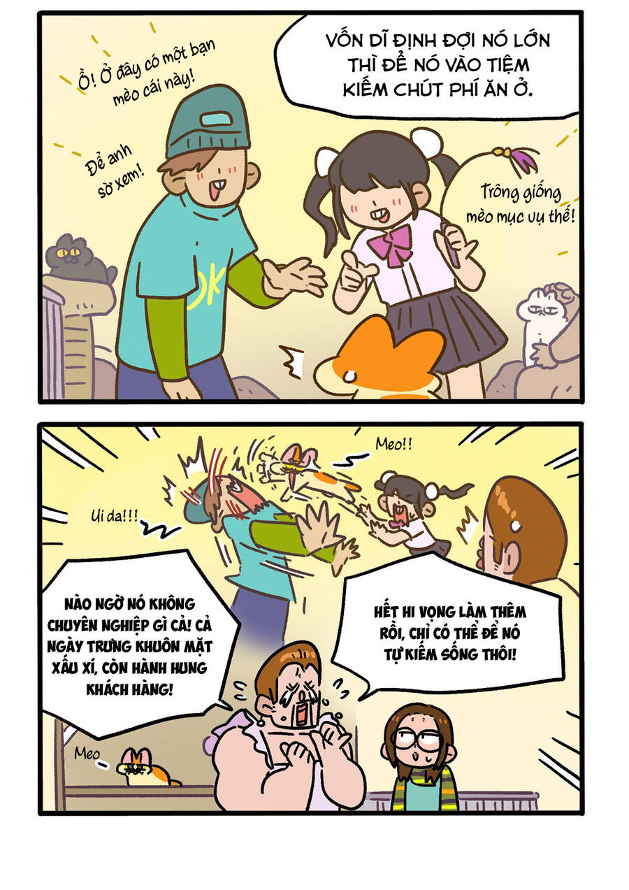 A Mãn Và Mạch Trà Chapter 142 - 4