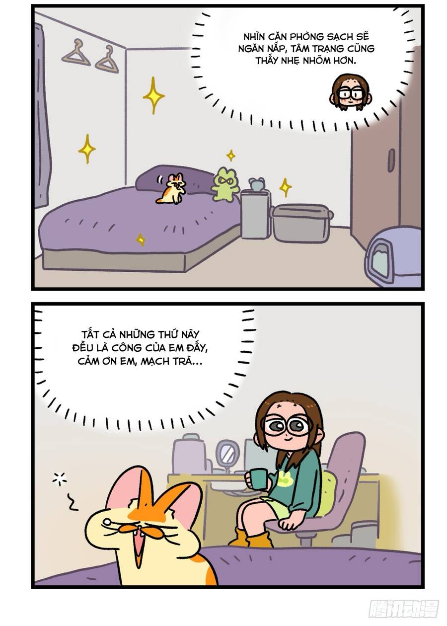 A Mãn Và Mạch Trà Chapter 143.1 - 6