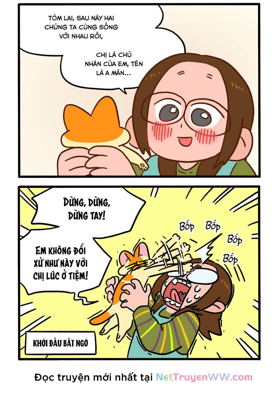 A Mãn Và Mạch Trà Chapter 143 - 2