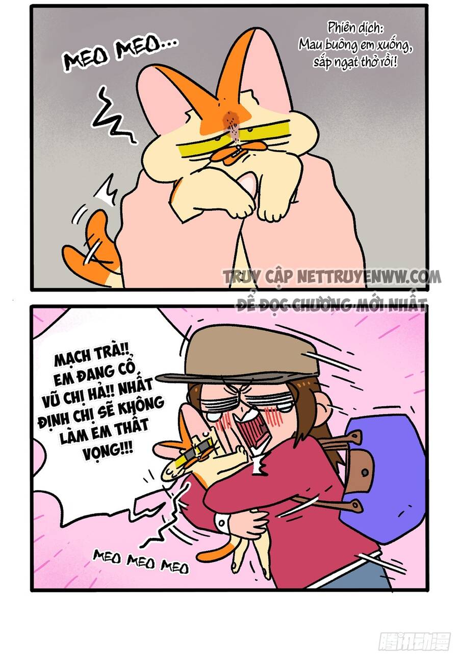 A Mãn Và Mạch Trà Chapter 146 - 2