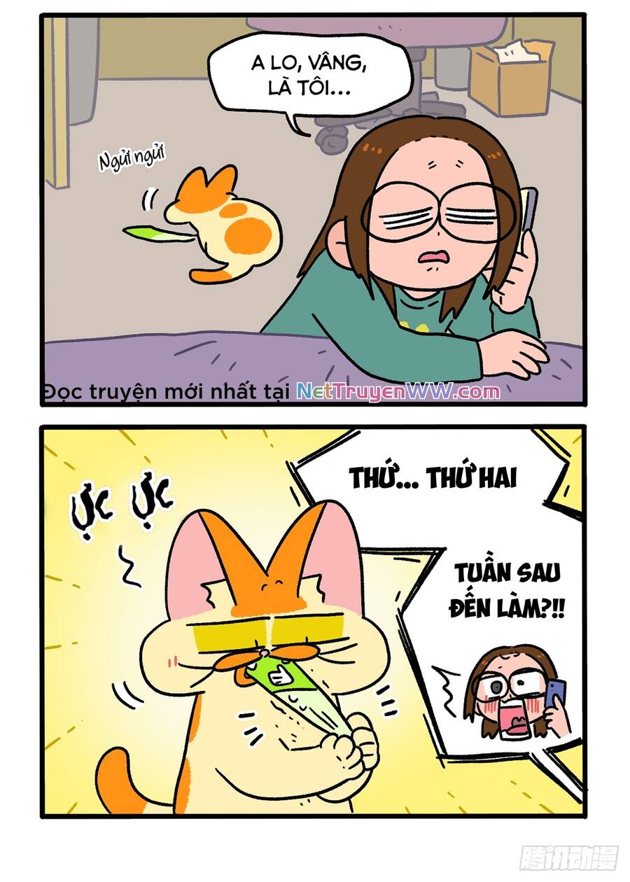 A Mãn Và Mạch Trà Chapter 147 - 4