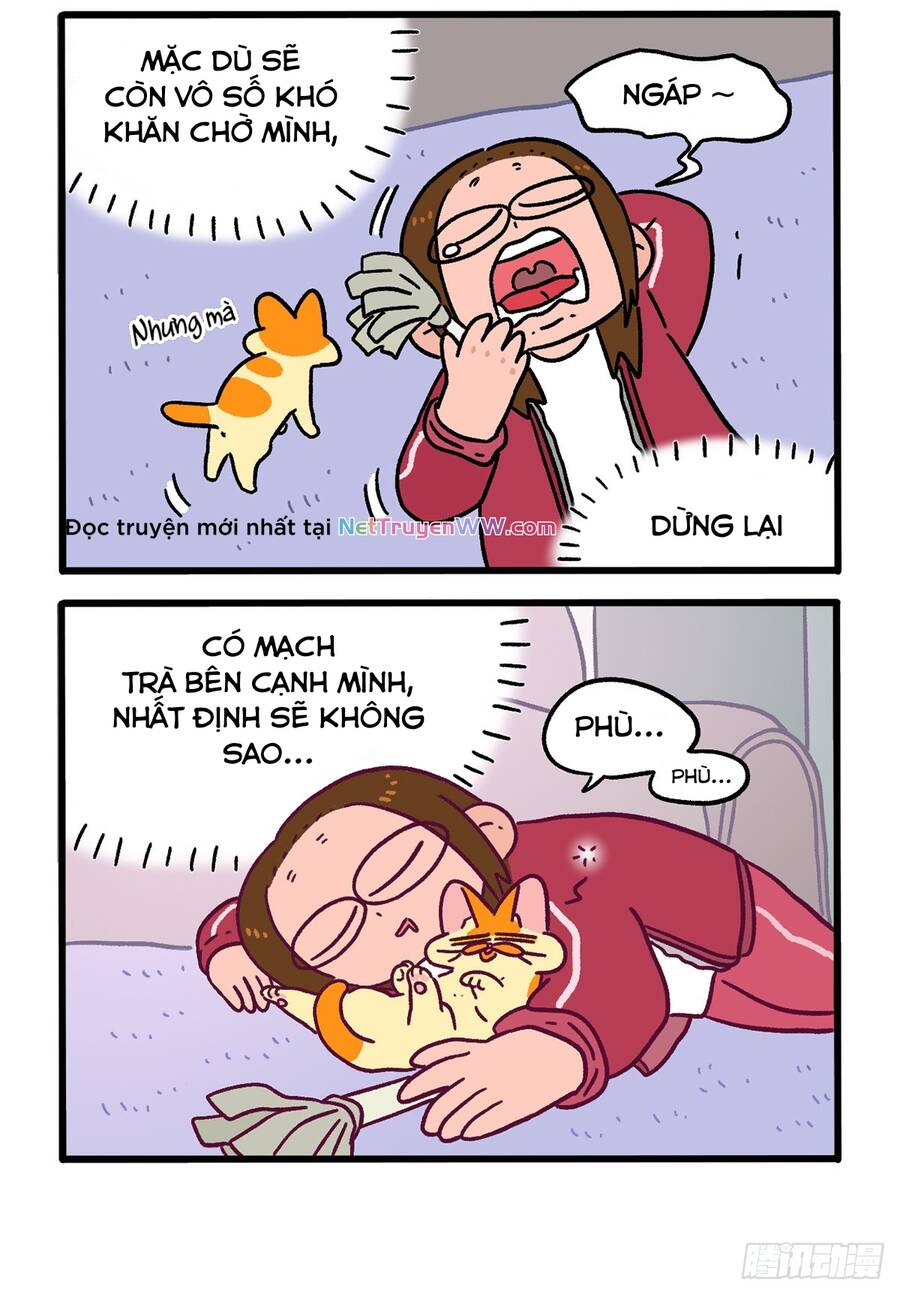 A Mãn Và Mạch Trà Chapter 148.1 - 4