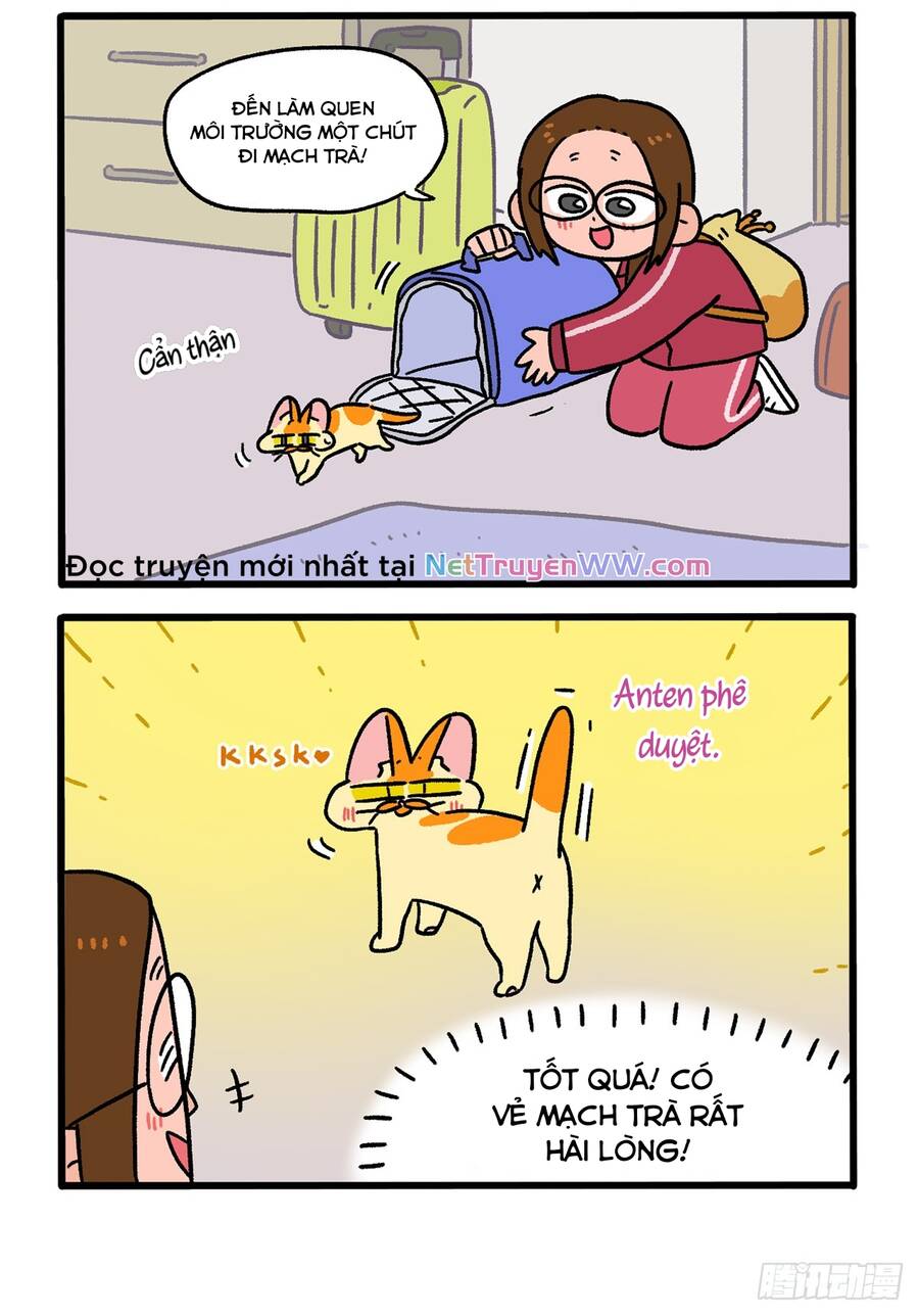 A Mãn Và Mạch Trà Chapter 148 - 4