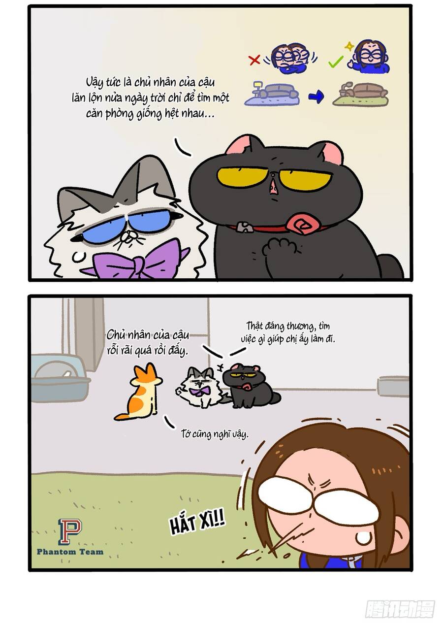 A Mãn Và Mạch Trà Chapter 149.1 - 2