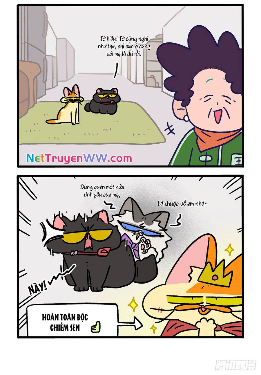 A Mãn Và Mạch Trà Chapter 149.1 - 4