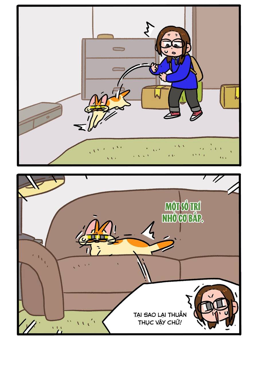 A Mãn Và Mạch Trà Chapter 149 - 2