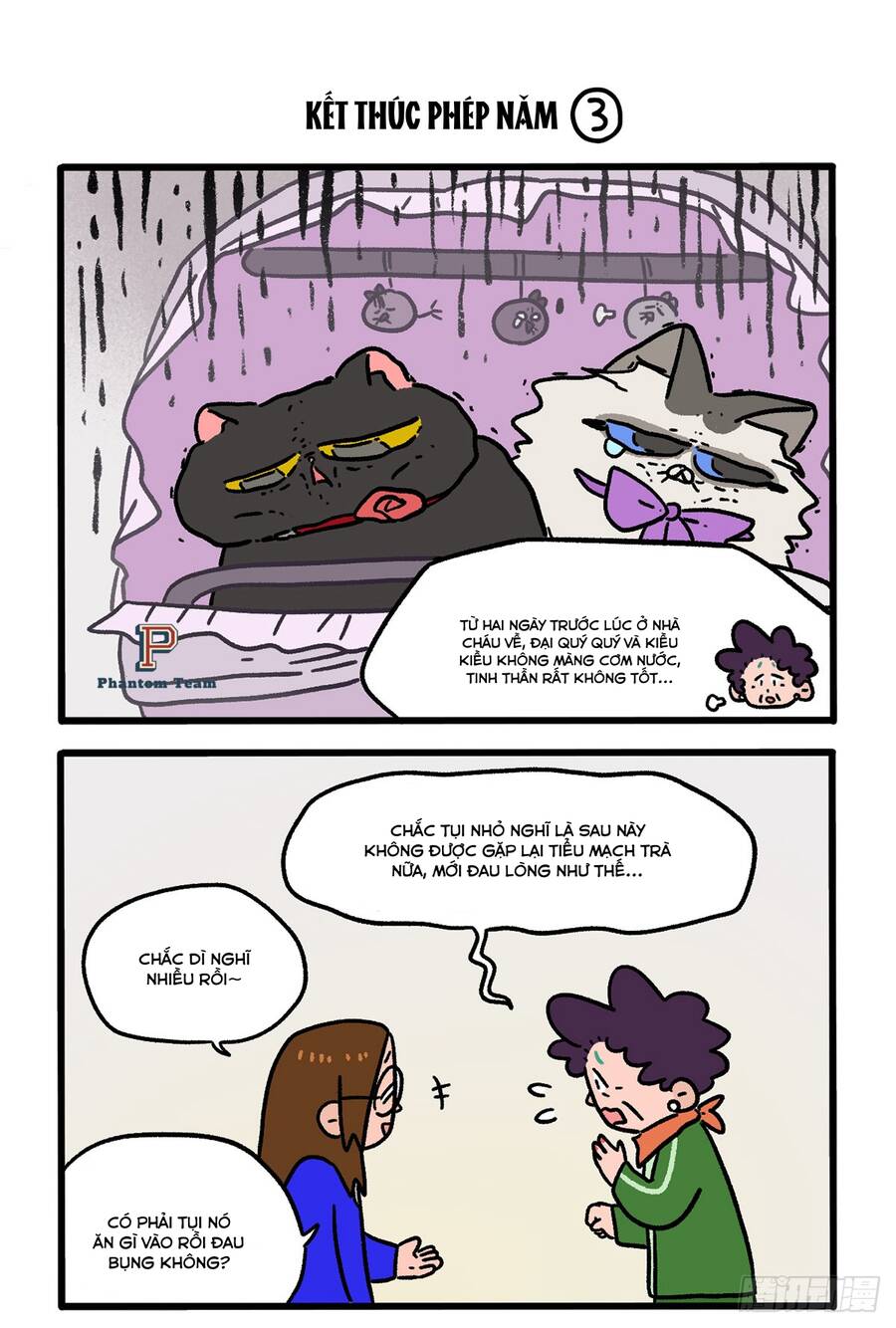 A Mãn Và Mạch Trà Chapter 149 - 5