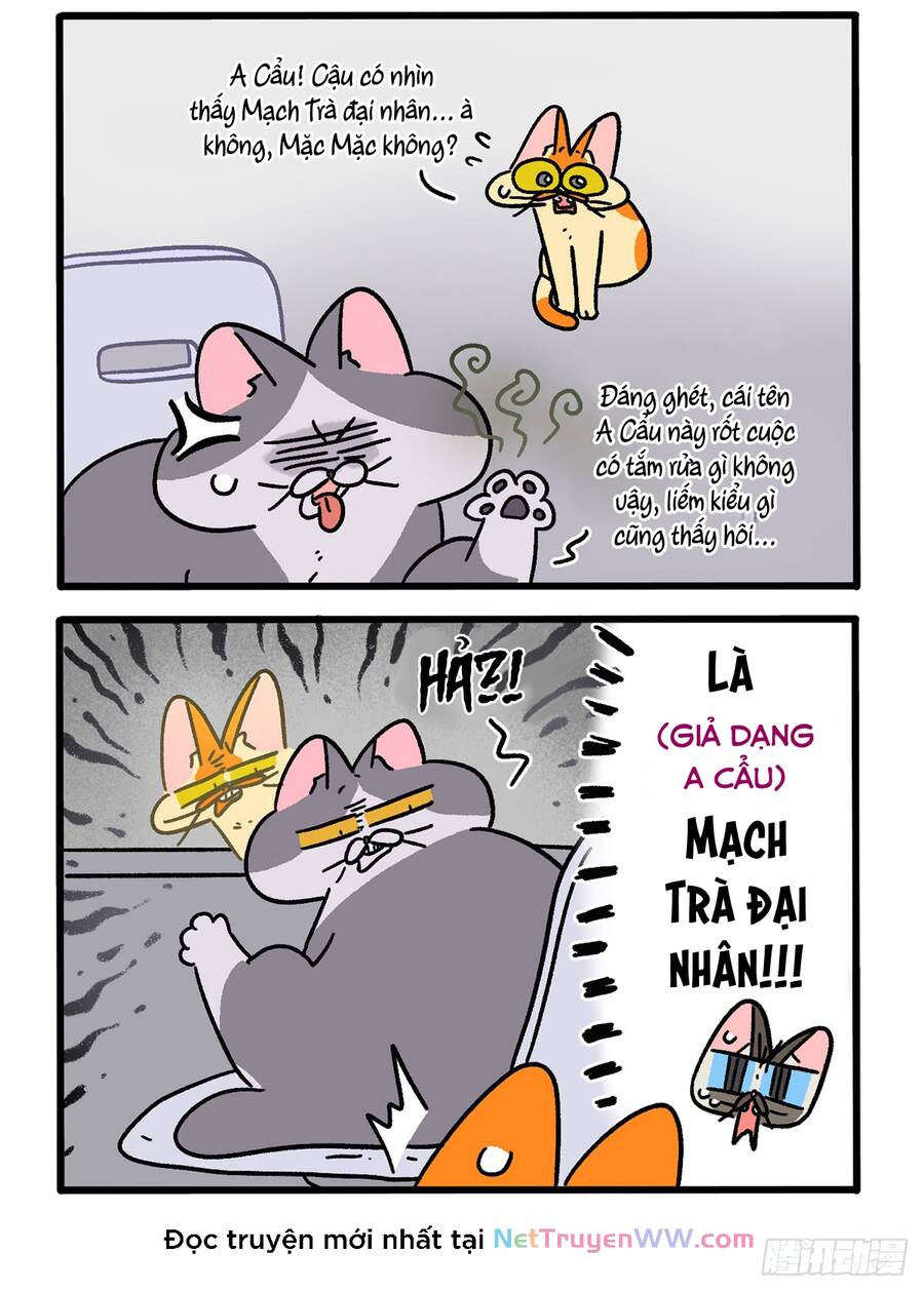 A Mãn Và Mạch Trà Chapter 150.1 - 2