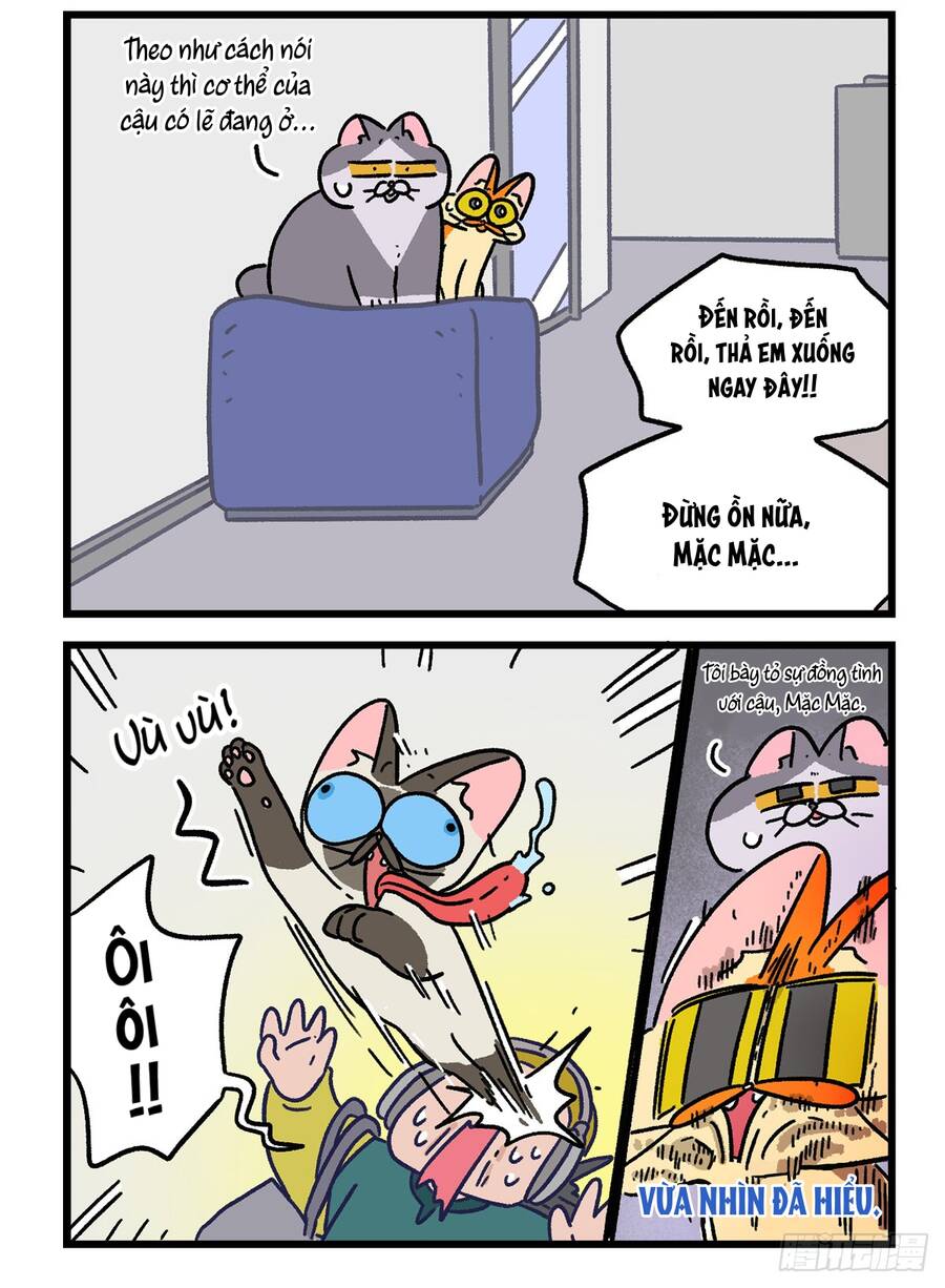 A Mãn Và Mạch Trà Chapter 150.1 - 6