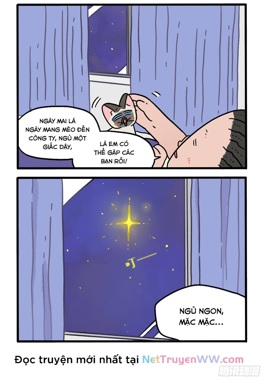 A Mãn Và Mạch Trà Chapter 150 - 2
