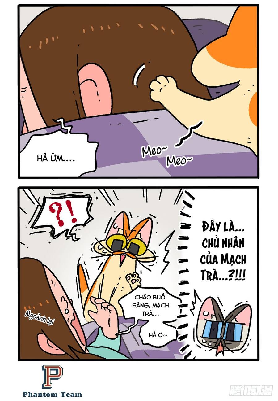 A Mãn Và Mạch Trà Chapter 150 - 4