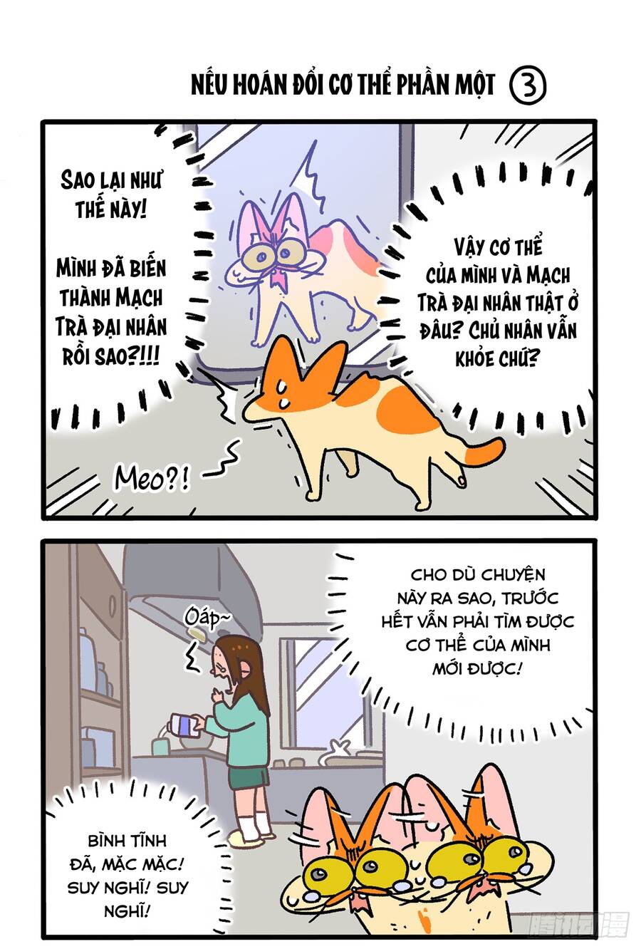 A Mãn Và Mạch Trà Chapter 150 - 5