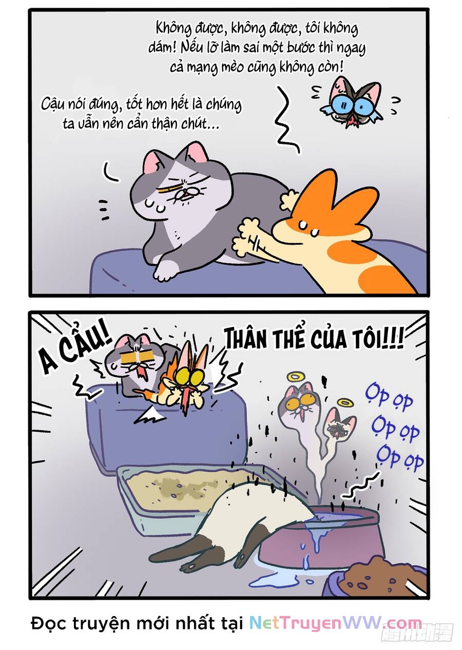 A Mãn Và Mạch Trà Chapter 151.1 - 2