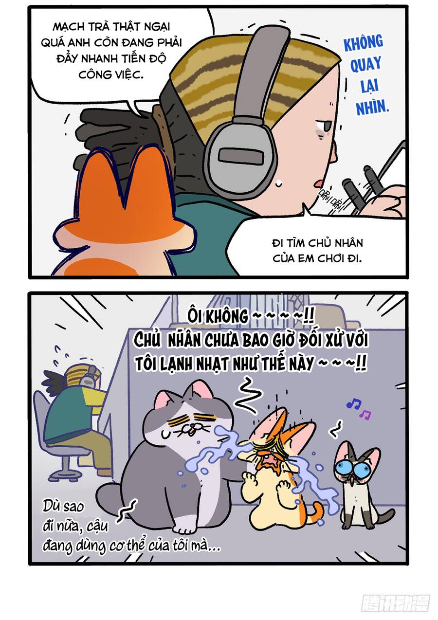 A Mãn Và Mạch Trà Chapter 151.1 - 4