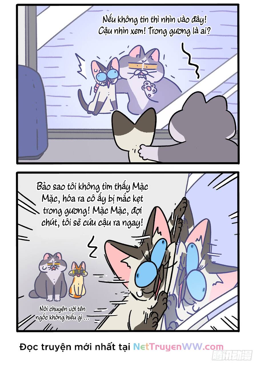 A Mãn Và Mạch Trà Chapter 151 - 2