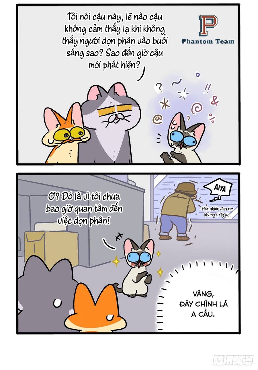 A Mãn Và Mạch Trà Chapter 151 - 4