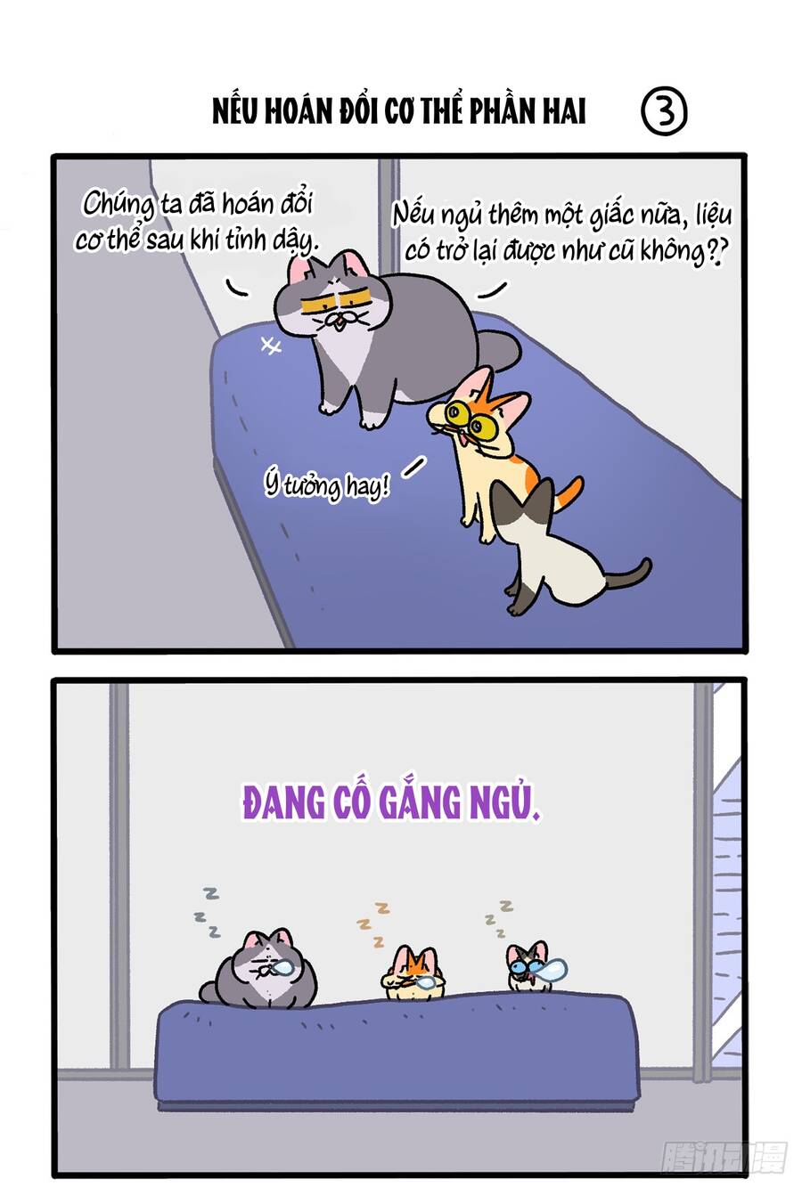 A Mãn Và Mạch Trà Chapter 151 - 5