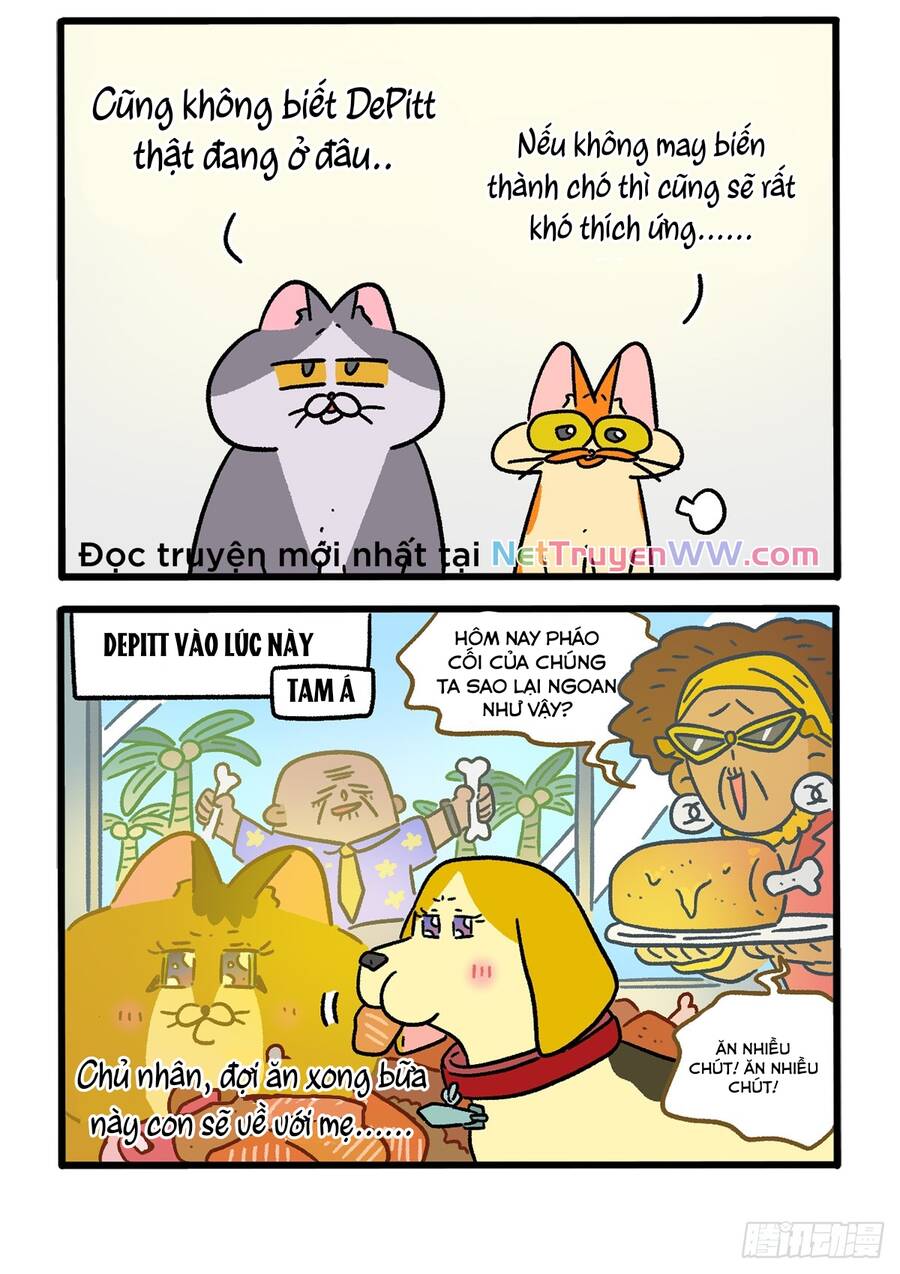 A Mãn Và Mạch Trà Chapter 152.1 - 4