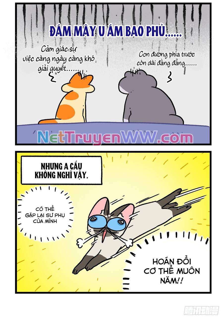 A Mãn Và Mạch Trà Chapter 152.1 - 6