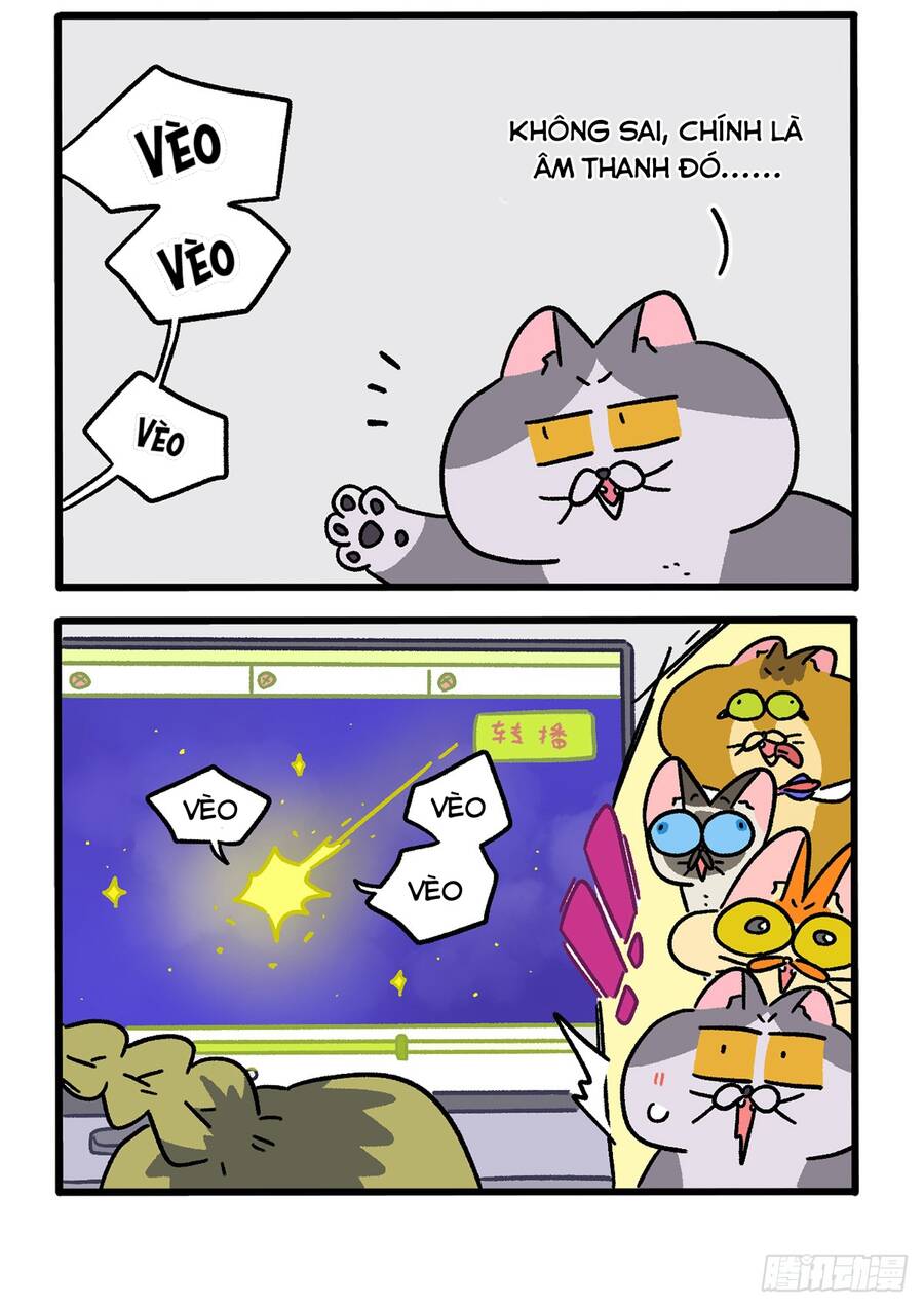 A Mãn Và Mạch Trà Chapter 153.1 - 2