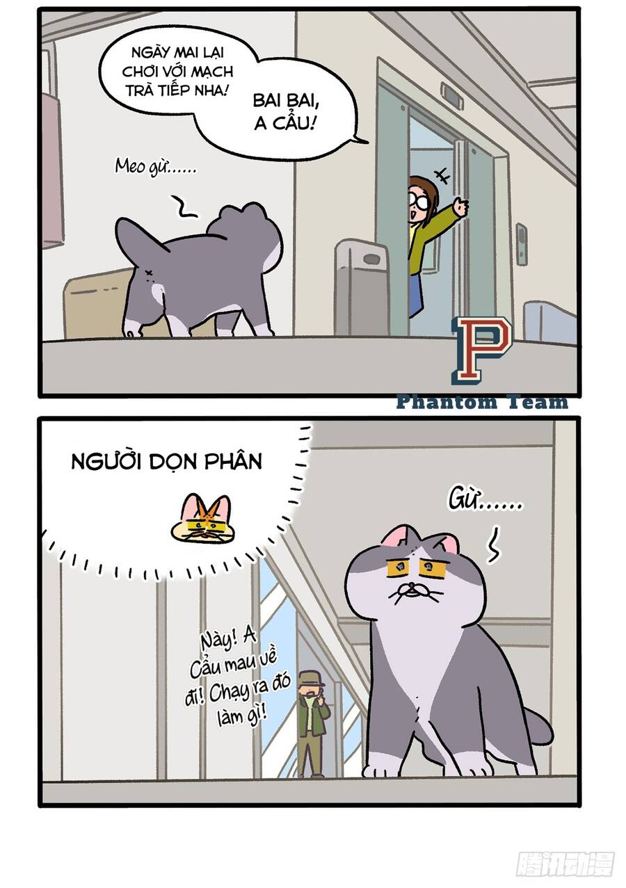 A Mãn Và Mạch Trà Chapter 154.1 - 2