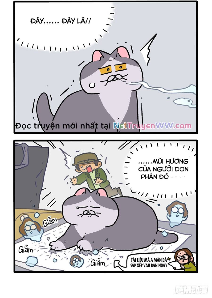 A Mãn Và Mạch Trà Chapter 154.1 - 4