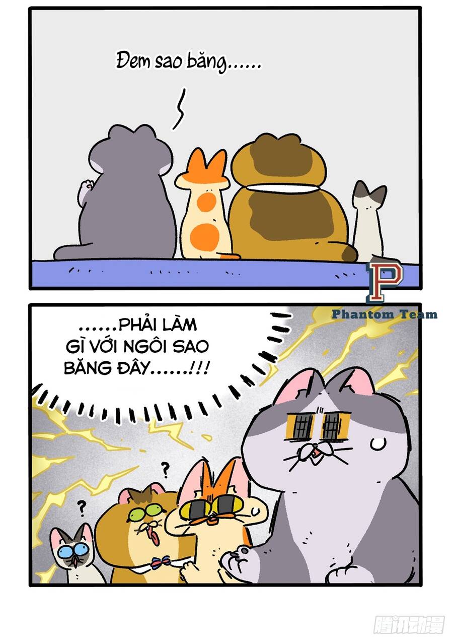 A Mãn Và Mạch Trà Chapter 154 - 2