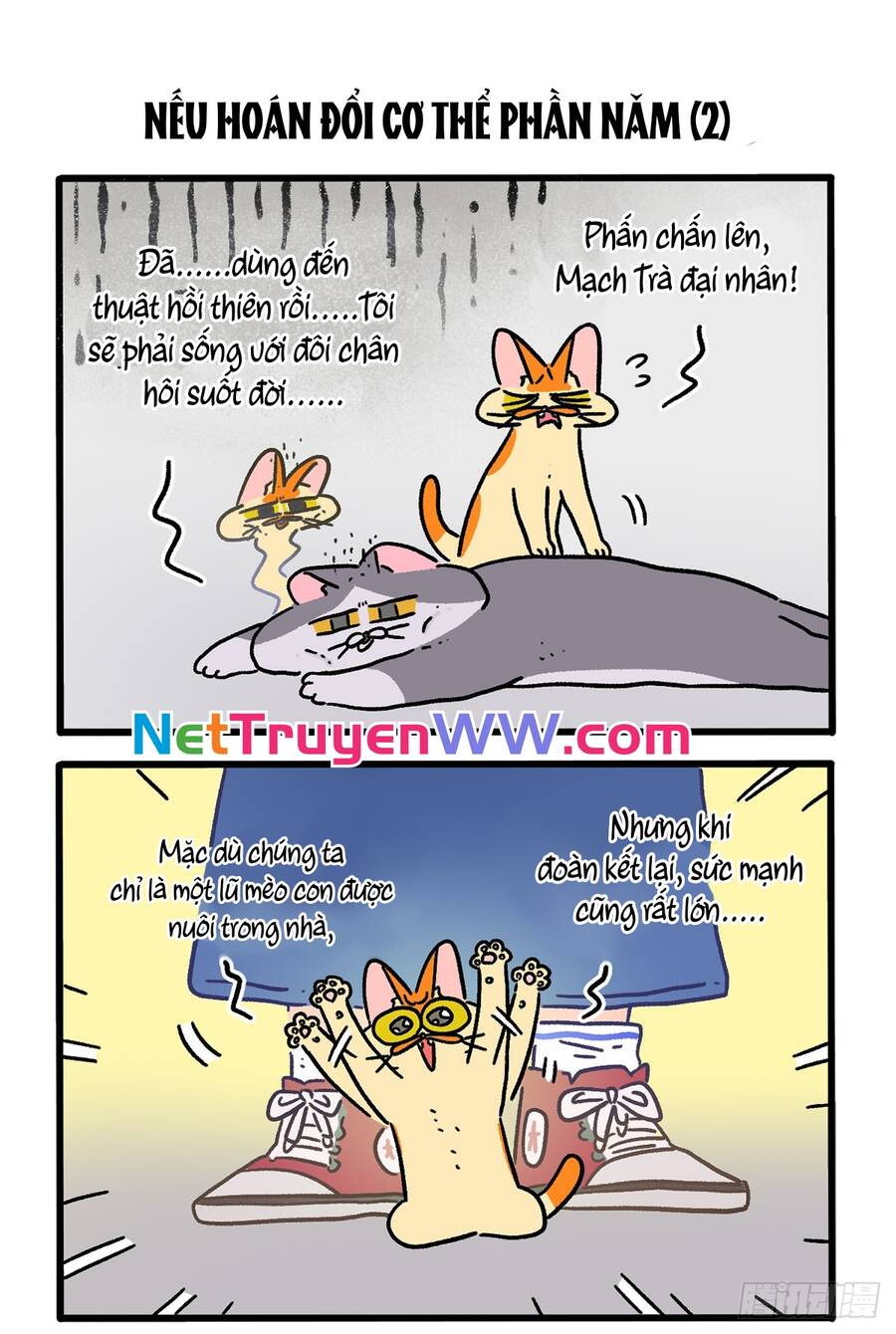 A Mãn Và Mạch Trà Chapter 154 - 3