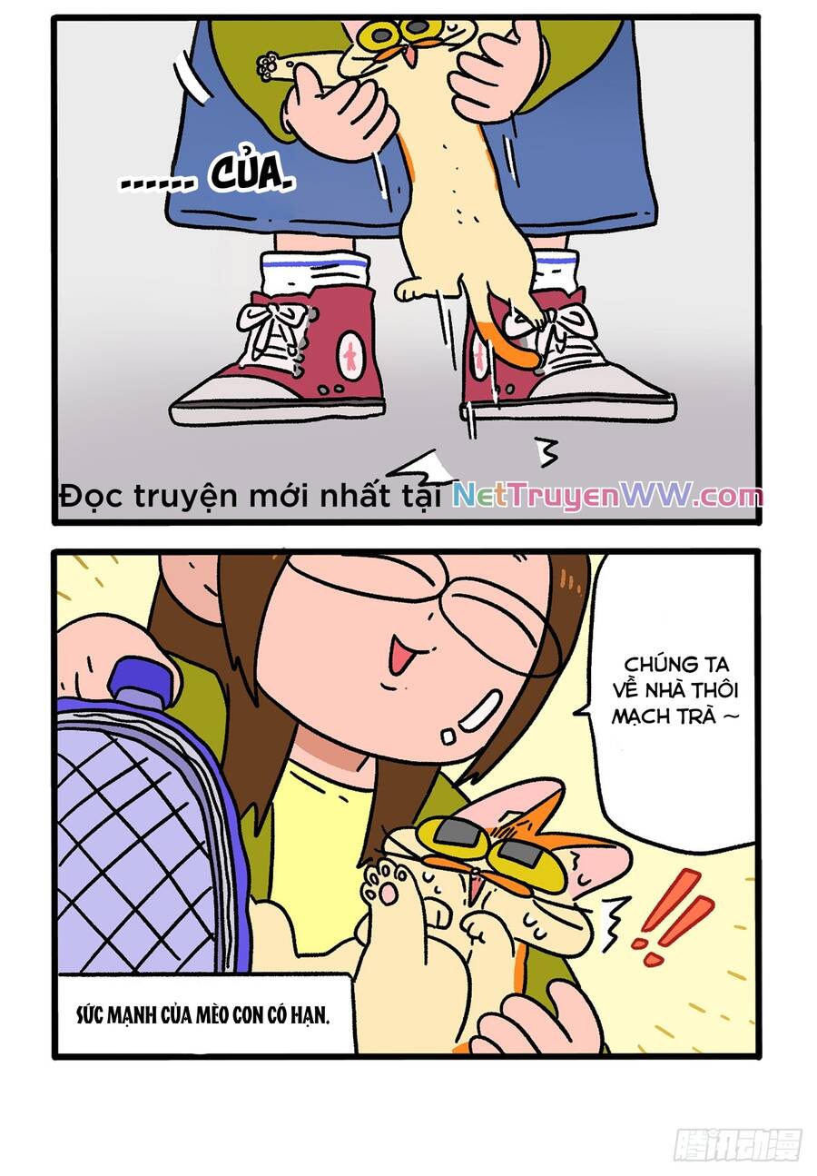 A Mãn Và Mạch Trà Chapter 154 - 4