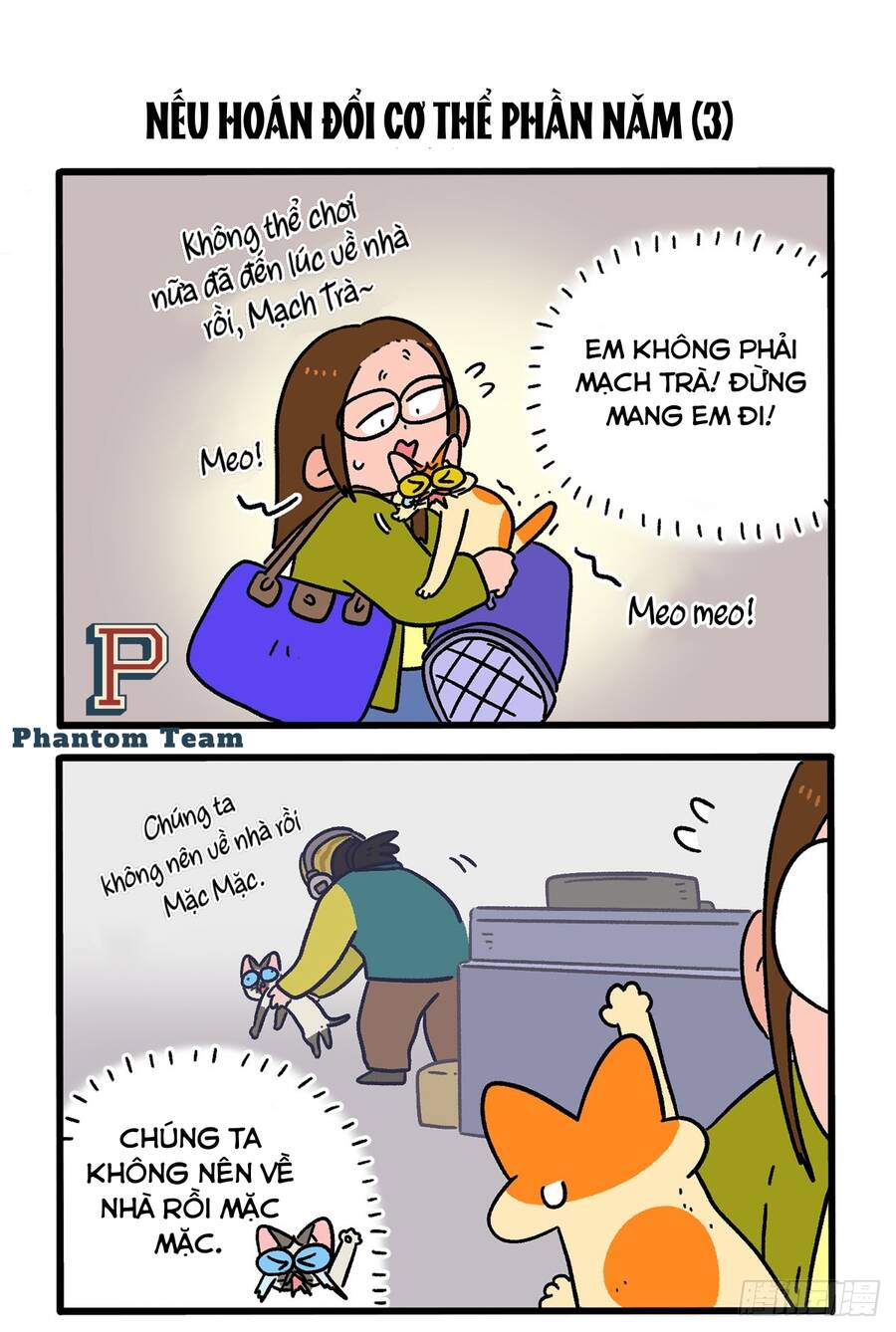 A Mãn Và Mạch Trà Chapter 154 - 5