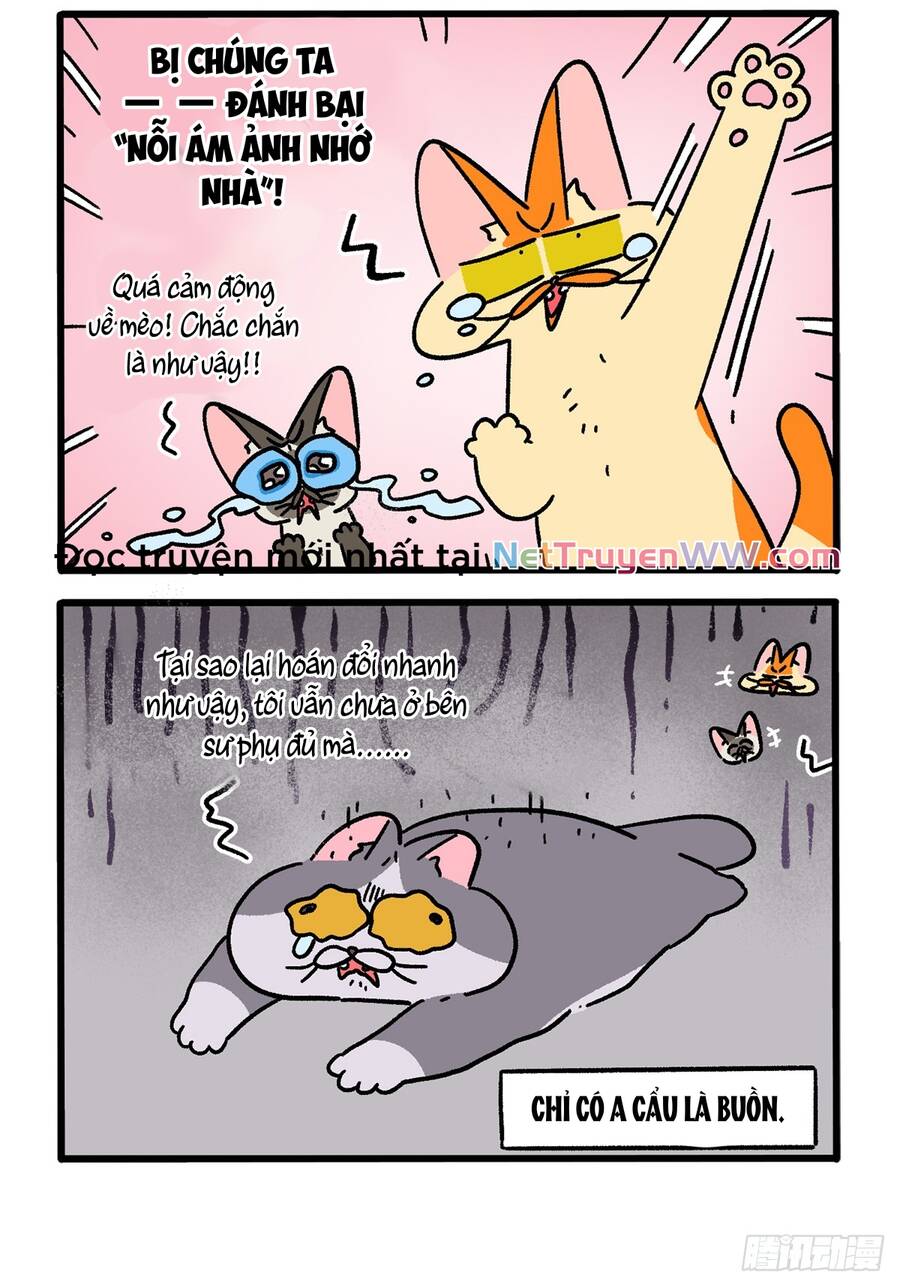 A Mãn Và Mạch Trà Chapter 155.1 - 4