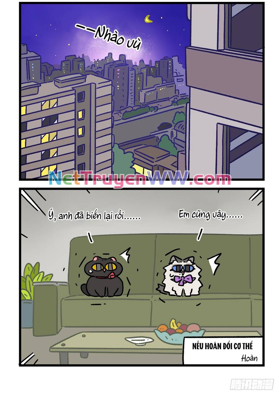 A Mãn Và Mạch Trà Chapter 155.1 - 6