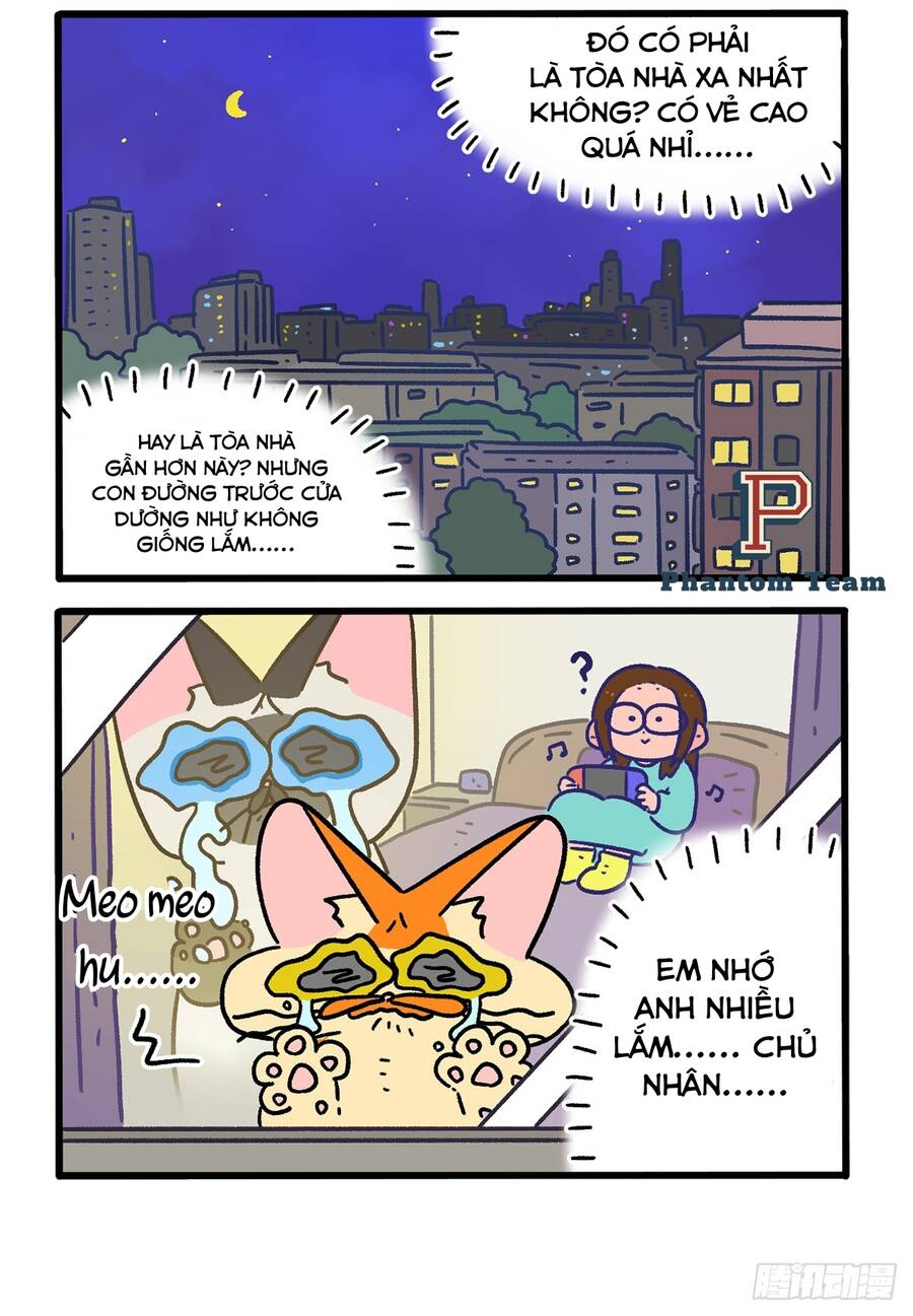 A Mãn Và Mạch Trà Chapter 155 - 2