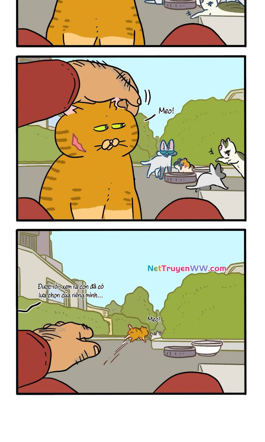 A Mãn Và Mạch Trà Chapter 158.2 - 4