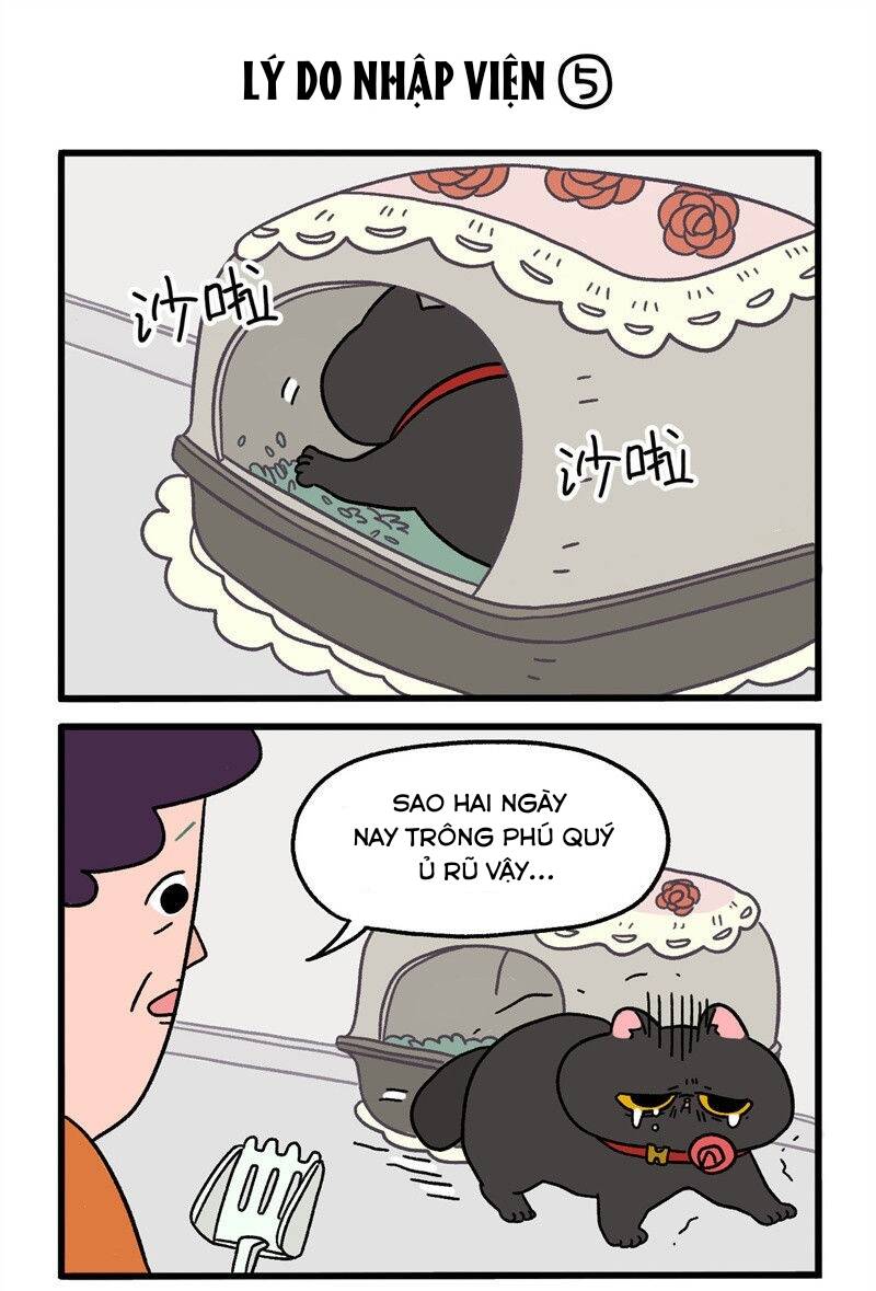 A Mãn Và Mạch Trà Chapter 16.1 - 3