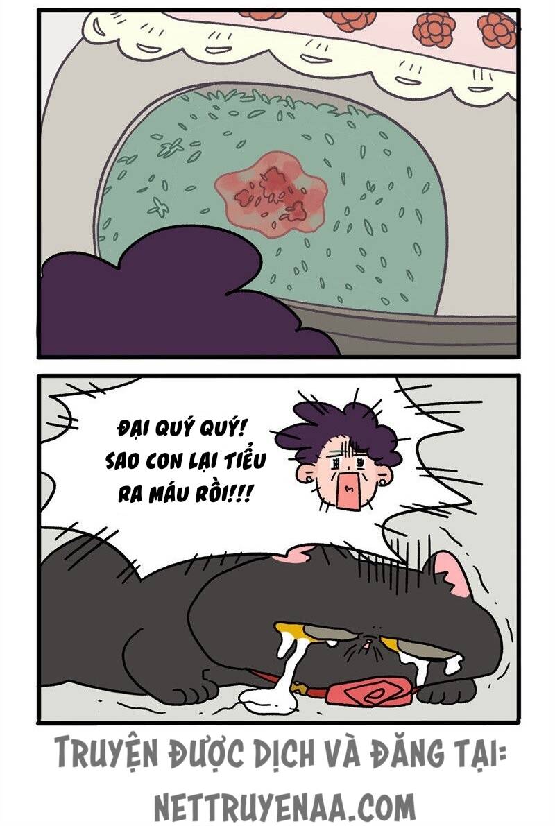 A Mãn Và Mạch Trà Chapter 16.1 - 4