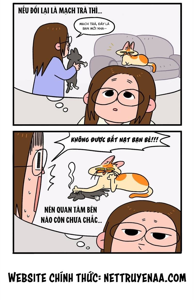 A Mãn Và Mạch Trà Chapter 16.1 - 6