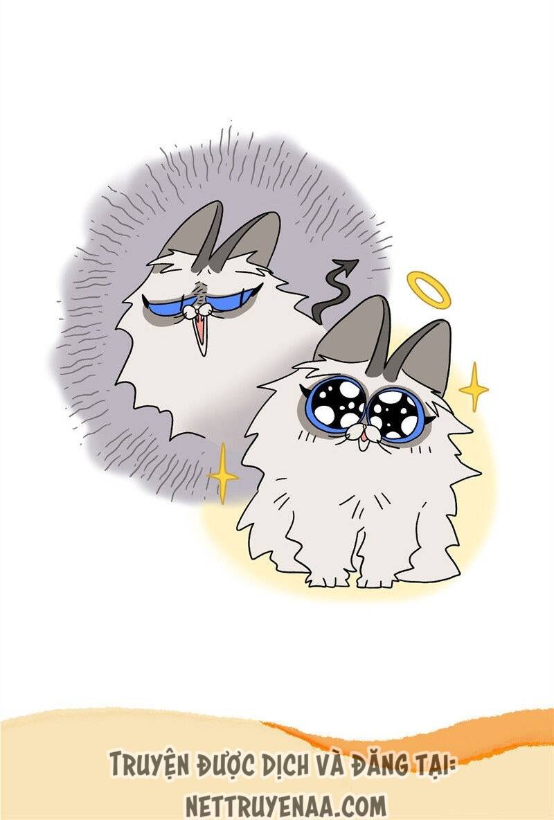 A Mãn Và Mạch Trà Chapter 16.1 - 7