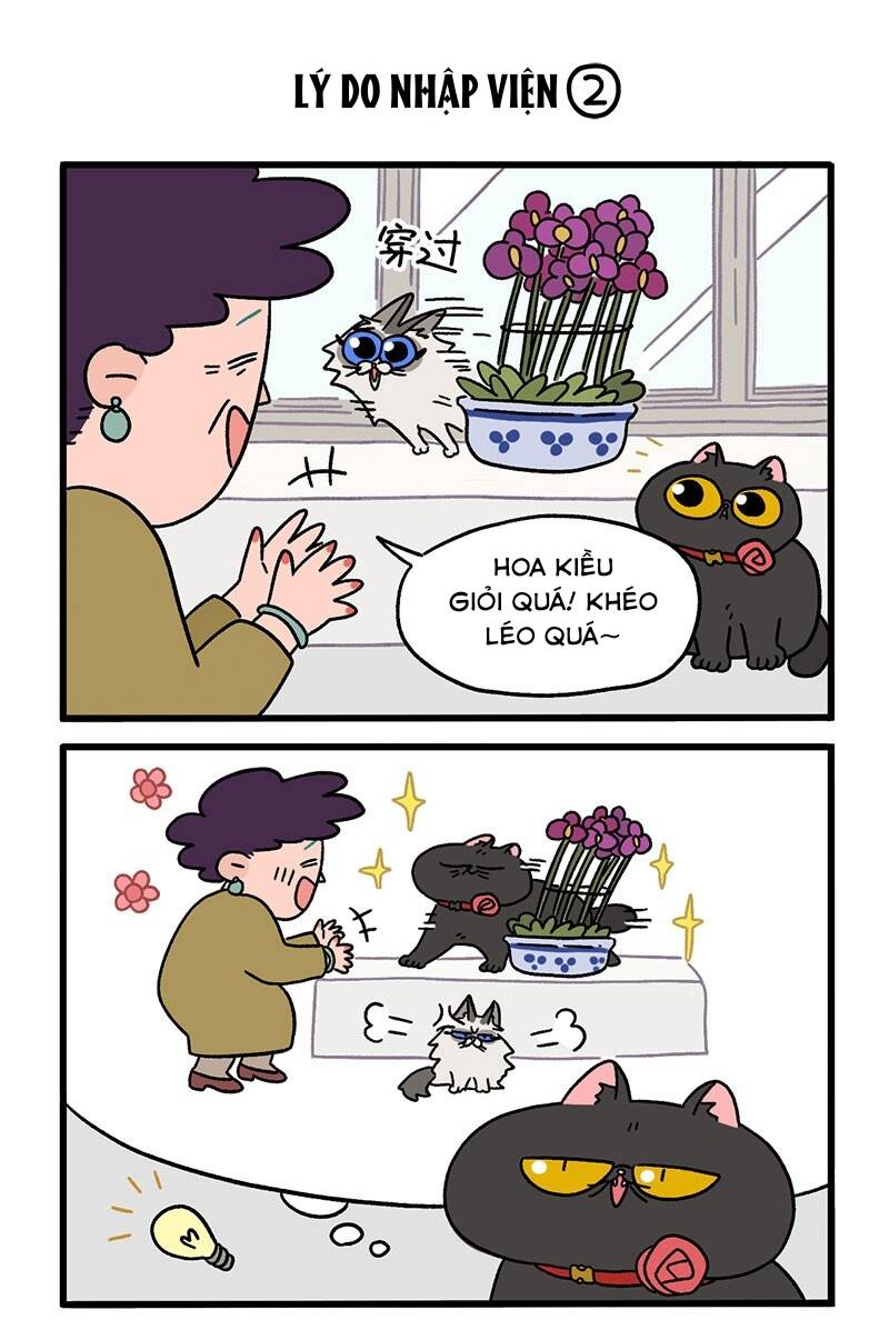 A Mãn Và Mạch Trà Chapter 16 - 3