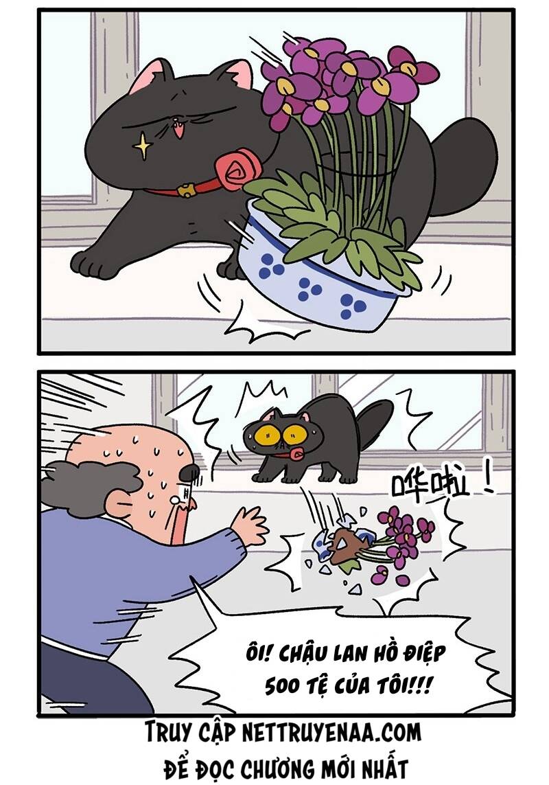 A Mãn Và Mạch Trà Chapter 16 - 4