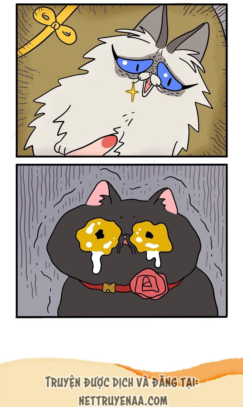 A Mãn Và Mạch Trà Chapter 16 - 6