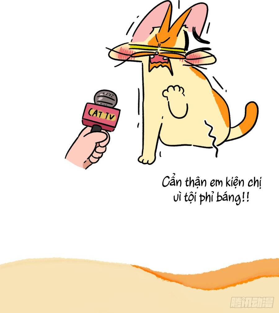 A Mãn Và Mạch Trà Chapter 160 - 6