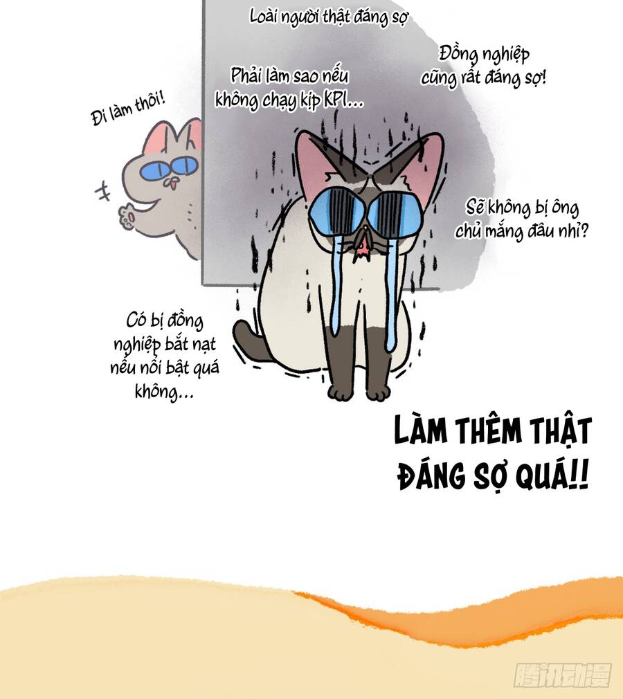 A Mãn Và Mạch Trà Chapter 163.1 - 6