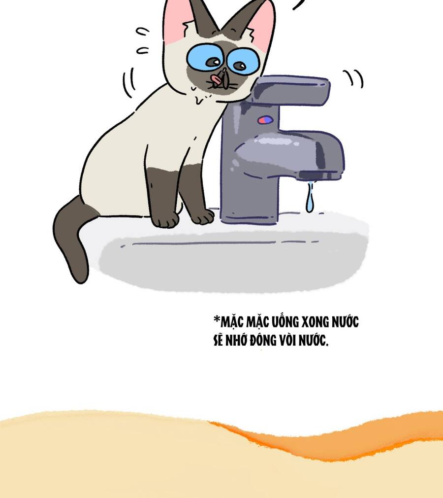 A Mãn Và Mạch Trà Chapter 164 - 8