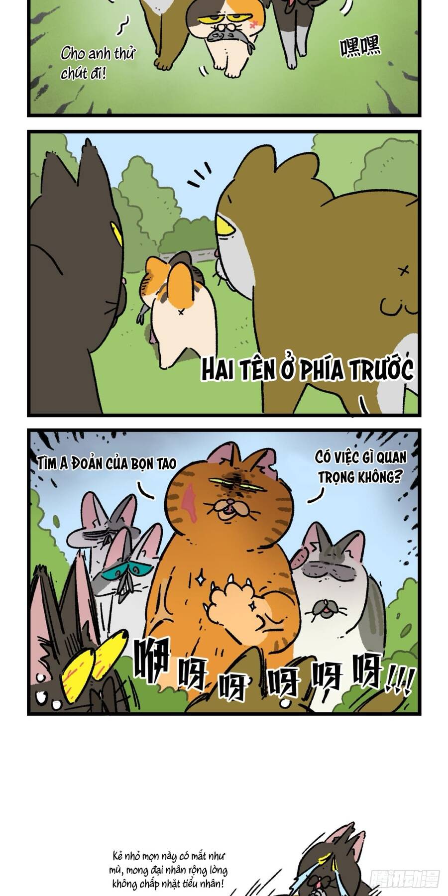 A Mãn Và Mạch Trà Chapter 167 - 4