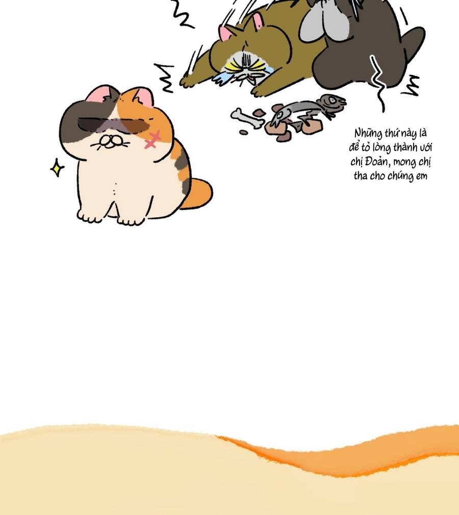 A Mãn Và Mạch Trà Chapter 167 - 5