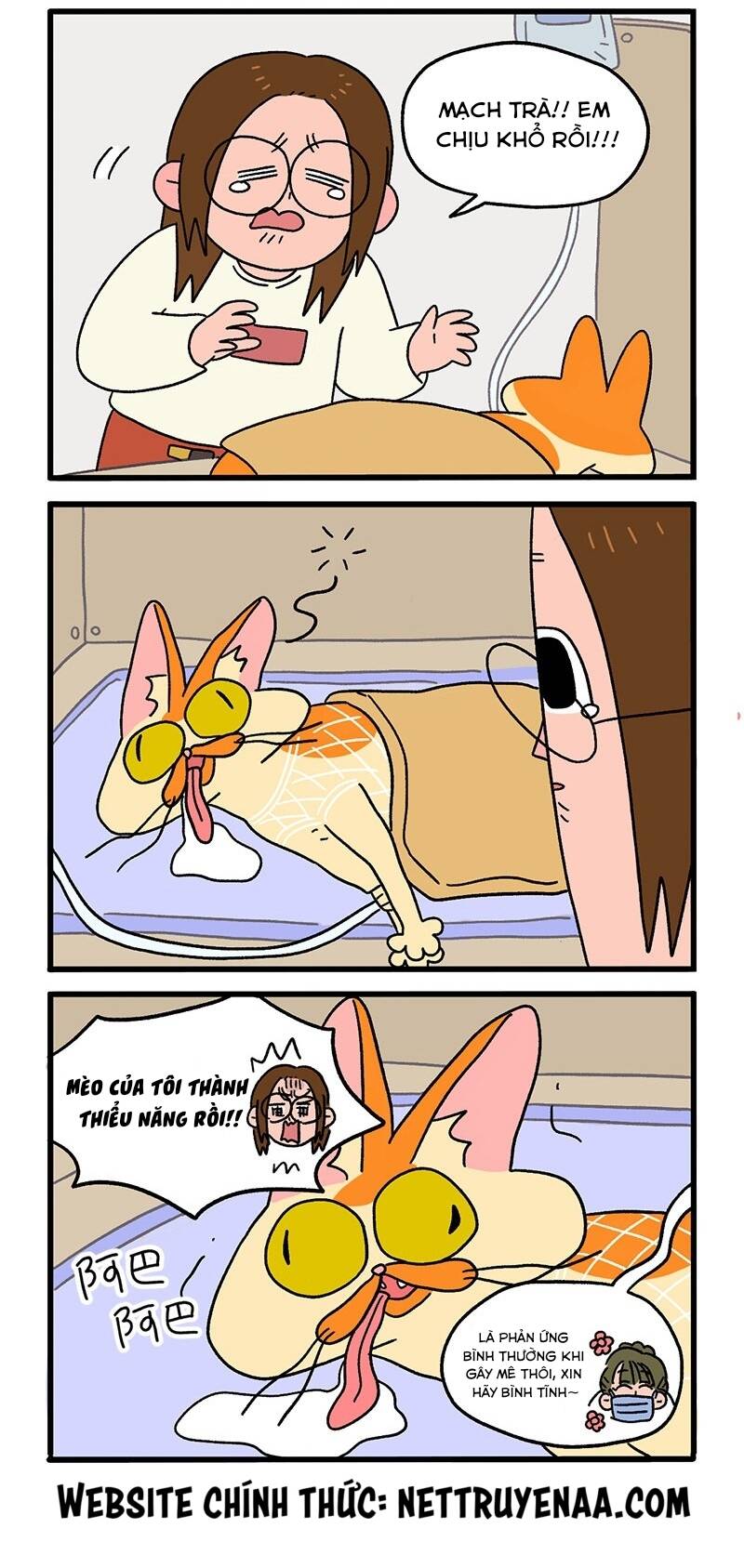 A Mãn Và Mạch Trà Chapter 17 - 2