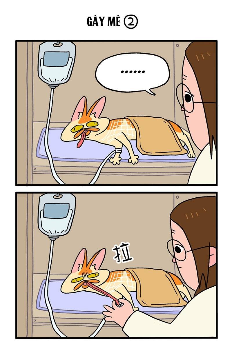 A Mãn Và Mạch Trà Chapter 17 - 3