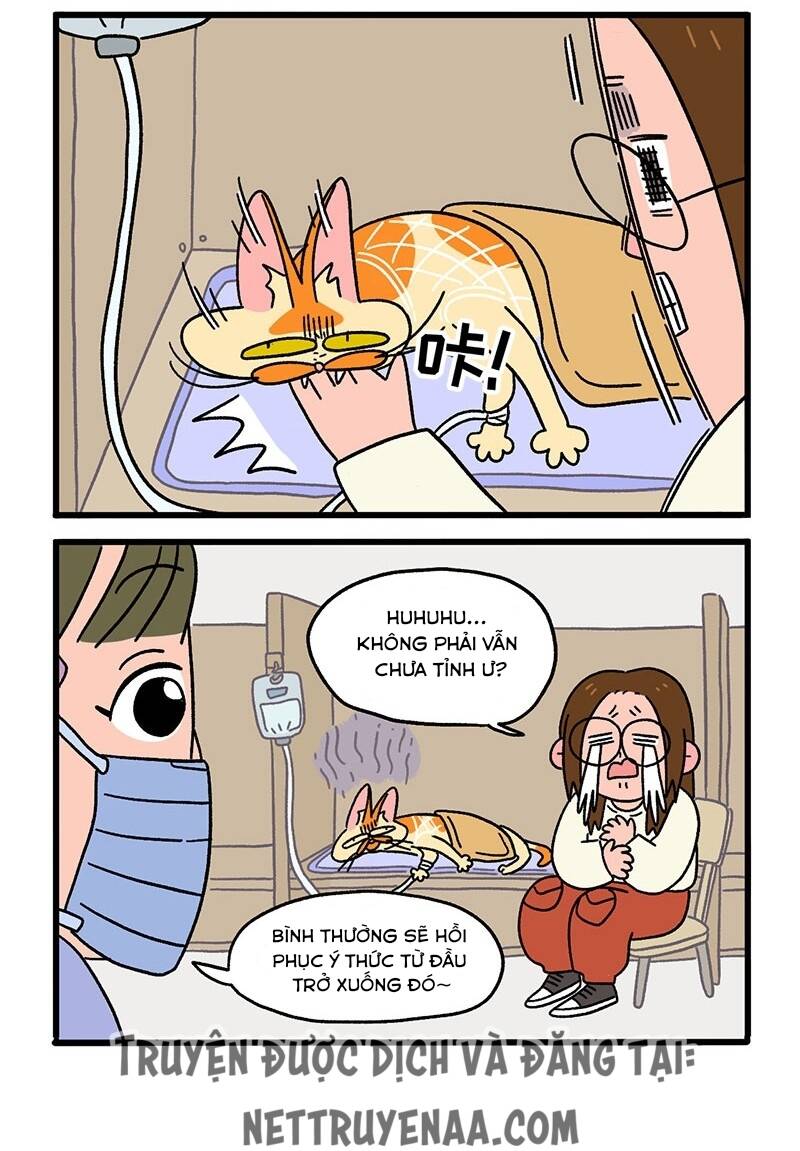 A Mãn Và Mạch Trà Chapter 17 - 4