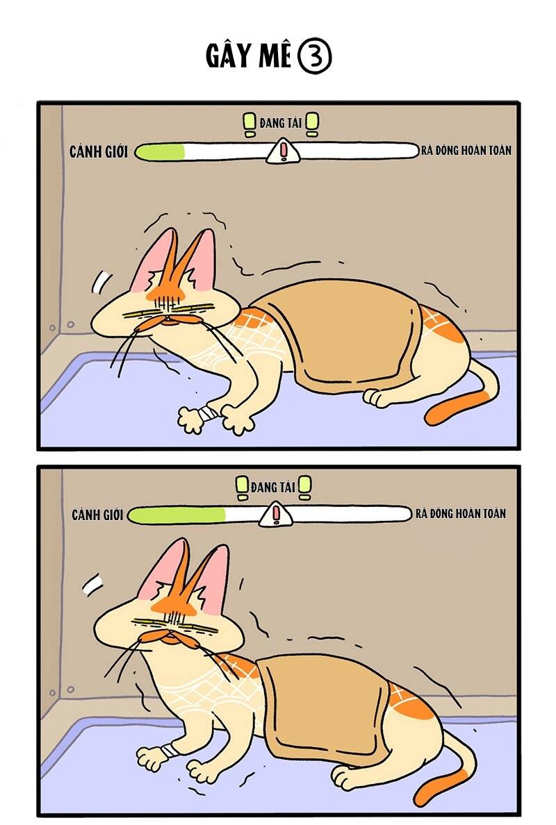 A Mãn Và Mạch Trà Chapter 17 - 5